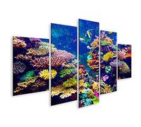 islandburner Tableau sur toile Récif Corail Poissons Tropicaux Lumière Du Soleil Aquarium De Singapour Cadre Affiche Poster Murale Tableaux