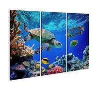 islandburner Tableau sur Toile Récif Corail Tortue De Mer Sauvage Poisson Océan Tropical Vie sous-Marine Exotiq Cadre Affiche Poster Murale Tableaux