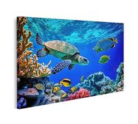 islandburner Tableau sur toile Récif Corail Tortue De Mer Sauvage Poisson Océan Tropical Vie Sous-Marine Exotiq Cadre Affiche Poster Murale Tableaux
