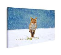 islandburner Tableau sur toile Renard roux Vulpes Winter Forest Meadow Chutes de neige Orange Cravate en fourru Cadre Affiche Poster Murale Tableaux