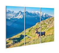 islandburner Tableau sur toile représentant le Capricorne des Alpes devant les montagnes majestueuses