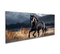 islandburner Tableau sur toile représentant un cheval noir majestueux dans la nature - Panorama