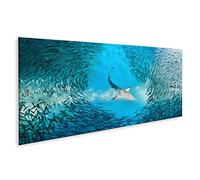islandburner Tableau sur Toile Requin et Petits Poissons dans l'océan Cadre Affiche Poster Murale Tableaux