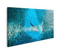islandburner Tableau sur Toile Requin et Petits Poissons dans l'océan Cadre Affiche Poster Murale Tableaux