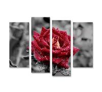 islandburner Tableau sur toile Rose rouge avec gouttes de pluie dans le jardin Merveilles naturelles Beauté Images murales Poster