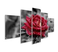 islandburner Tableau sur toile Rose rouge avec gouttes de pluie dans le jardin Merveilles naturelles Beauté Images murales Poster