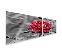 islandburner Tableau sur toile Rose rouge avec gouttes de pluie dans le jardin Merveilles naturelles Beauté Images murales Poster