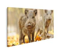 islandburner Tableau sur toile sanglier forêt d'automne Cadre Affiche Poster Murale Tableaux