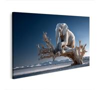 islandburner Tableau sur toile surréaliste avec éléphant sur tronc d'arbre - Édition P1