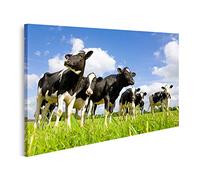 islandburner Tableau sur toile Vaches Holstein Prato Impressions Art Poster Mural