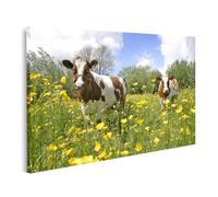 islandburner Tableau sur toile vaches Paysage hollandais Nature Photos Tableaux muraux Poster