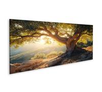 islandburner Tableau sur toile Vieux olivier au coucher du soleil pour salon, amoureux de la nature, magasin de fleurs, images murales poster