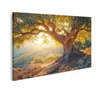 islandburner Tableau sur toile Vieux olivier au coucher du soleil pour salon, amoureux de la nature, magasin de fleurs, images murales poster