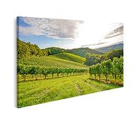 islandburner Tableau sur toile Vignes vignoble récolte des raisins d'automne Europe Cadre Affiche Poster Murale Tableaux
