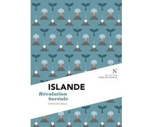 Islande Révolution boréale - Guillaume Lebeau - Nevicata - broché - Récit