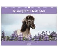 Islandpferde Kalender (Wandkalender 2026 DIN A3 quer), CALVENDO Monatskalender: 12 Pferde Bilder, die alle auf der Vulkaninsel Island entstanden sind.