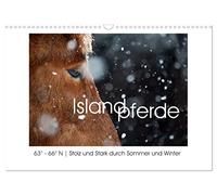 Islandpferde - Stolz und Stark durch Sommer und Winter (Wandkalender 2026 DIN A3 quer), CALVENDO Monatskalender: Islandpferde, fotografiert in ihrer Heimat: 63° - 66° N.