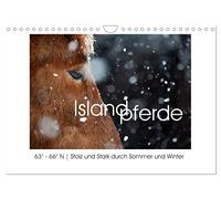Islandpferde - Stolz und Stark durch Sommer und Winter (Wandkalender 2026 DIN A4 quer), CALVENDO Monatskalender: Islandpferde, fotografiert in ihrer Heimat: 63° - 66° N.