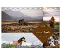Islandpferde und ihre raue Heimat (Tischkalender 2027 DIN A5 quer), CALVENDO Monatskalender: Island - slandpferde - Wo Pferde und wilde Landschaft eins werden