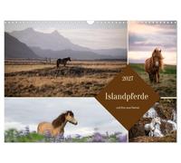 Islandpferde und ihre raue Heimat (Wandkalender 2027 DIN A3 quer), CALVENDO Monatskalender: Island - slandpferde - Wo Pferde und wilde Landschaft eins werden