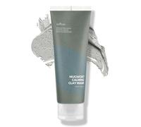 IsNtree Masque à l'argile apaisante à l'armoise 100 ml, 3,38 fl.oz | Contrôle du sébum | Resserrement des pores | Exfolie la peau rugueuse | Soins des points noirs
