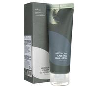 Isntree Masque à l'argile apaisant à l'armoise vraie – 100 ml