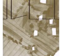 Isolee - Rest [Import]