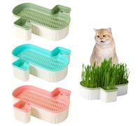 ISOYTERO Chat Grass Planter 3pcs Soil Free Cat Cat Kit de Culture Kit Double Plateau de semence détachable PP Graine Sprouter Boîte Plateau pour Chien