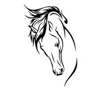 iSpchen Stickers Autocollant Tête De Cheval pour Voiture - 5pcs Vinyle Personnalisé Étanche Drôles - Stickers Muraux 17 * 10.5cm