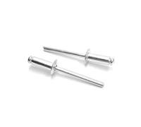 ISPINNER Lot de 100 rivets aveugles en aluminium, 3/16" x 1/2" (100Pack)