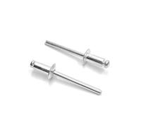 ISPINNER Lot de 100 rivets aveugles en aluminium, 3/16" x 3/8" (100Pack)