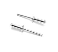 ISPINNER Lot de 100 rivets aveugles en aluminium, 3/16" x 5/8" (100Pack)