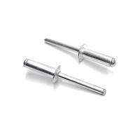 ISPINNER Lot de 100 rivets aveugles en aluminium de 6,4 x 20 mm - Argentés