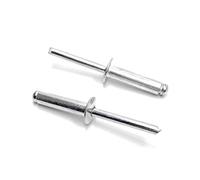 ISPINNER Lot de 100 rivets aveugles en aluminium de 6,4 x 25 mm - Argenté