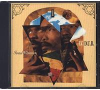 Israel Vibration – I.V.D.U.B.