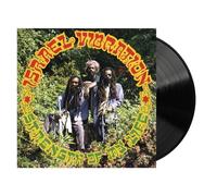 ISRAEL VIBRATION - STRENGTH OF MY LIFE VINYL LP NEUF