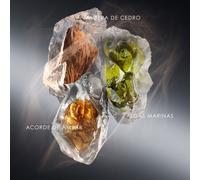 ISSEY MIYAKE Le Sel d’Issey Eau de Parfum 50 ML Eau de Parfum Parfums pour Homme