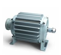 ISTABREEZE Générateur Permanent 2000 Watts 48 Volts, Générateur Triphasé Alternatif Électrique, Dynamo Industriel à Aimants Permanents pour Éolienne et Turbine Hydraulique