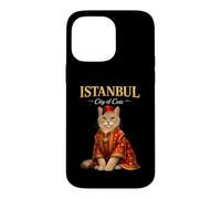 Istanbul Cité des Chats Ottoman de Culture Turque Traditionnelle Coque pour iPhone 14 Pro Max