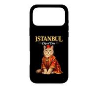Istanbul Cité des Chats Ottoman de Culture Turque Traditionnelle Coque pour iPhone 17 Pro Max