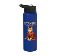 Istanbul Cité des chats Ottoman de culture turque traditionnelle Stainless Steel Insulated Water Bottle