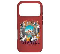 Istanbul - City of Cats : Art Turc Coque pour iPhone 17 Pro