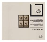 Istante Collective - Little Things in Odd Shapes