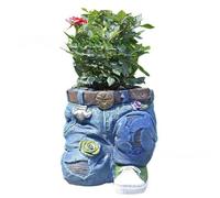 ISTOVO Jolies Jardinières pour Plantes D'Intérieur et D'Extérieur, Pot de Plantes Grasses Décoratives, Jardinière de Cactus en Résine, B