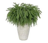 ISTOVO Tige de Feuillage Artificiel 8PCS 18,5 Pouces Branches de Pin de Norfolk de Noël, pour Guirlande