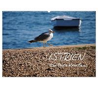 ISTRIEN - Die Perle Kroatiens (Wandkalender 2026 DIN A2 quer), CALVENDO Monatskalender: Impressionen von der kroatischen Adria