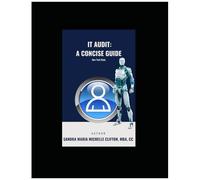 It Audit A Concise Guide New York State: Insurance