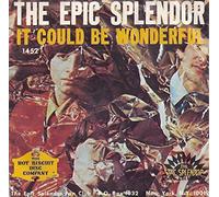 It Could Be Wonderful / She's High On Life - Epic Splendor 7" 45