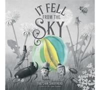 It Fell From The Sky