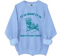 « It Is What It Is And Its Not Great Sweatshirt, It Is What It Is And Its Not Great, Funny Shirts Women Man », bleu ciel, 3XL